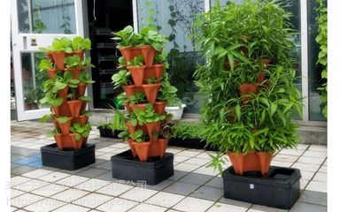 陽臺農業魚菜共生立體栽培箱 家庭農業與景觀工程的綠色革新