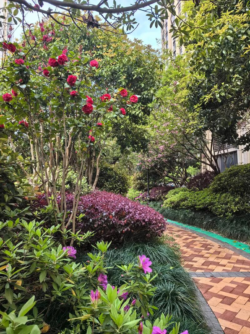 鳥語花香滿園春，為小區綠化工程點贊