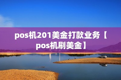 pos機201美金打款業務【pos機刷美金】